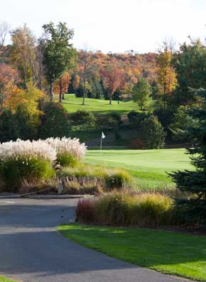 Hole #7 Green